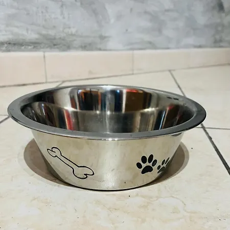 Casa Ceccanti Tatil Evi