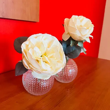 Casa Ceccanti Tatil Evi San Romano (Pisa)