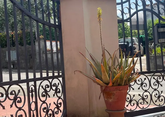 Casa Ceccanti *